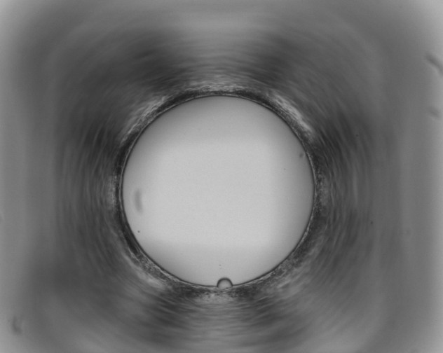 X0000096720537200802051102