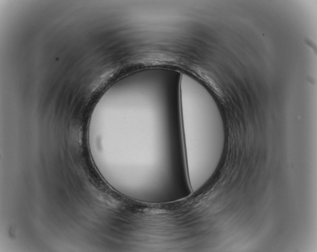 X0000096720539200802051102