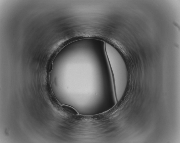 X0000096720540200802051102