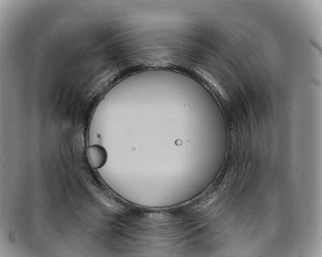 X0000096720541200802051102
