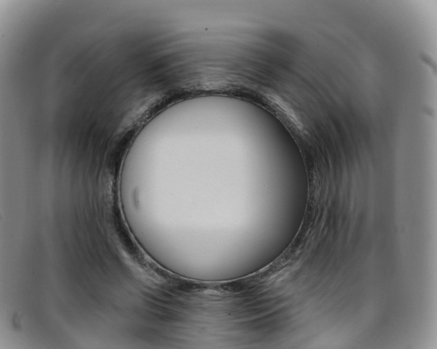 X0000096720542200802051102