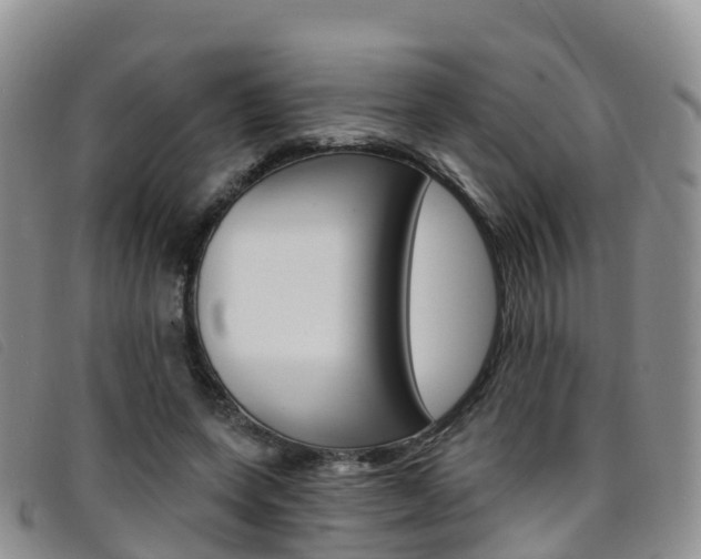 X0000096720543200802051102