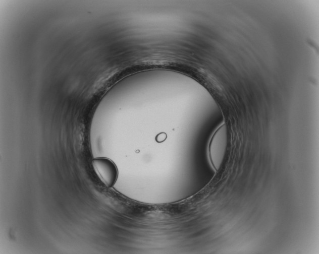 X0000096720544200802051102