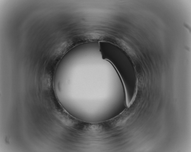 X0000096720546200802051102