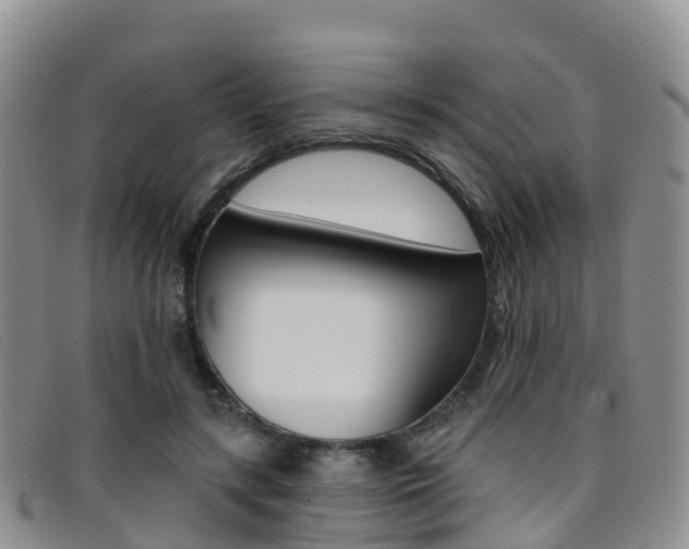 X0000096720547200802051102