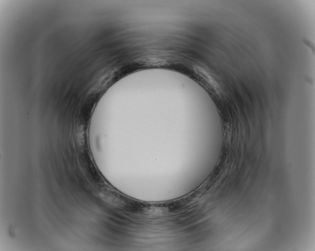 X0000096720549200802051102