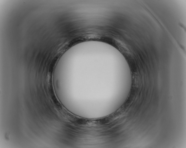 X0000096720550200802051102
