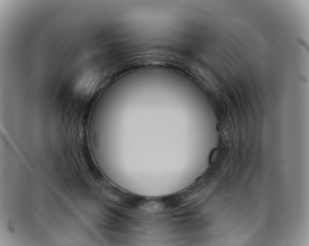 X0000096720551200802051102