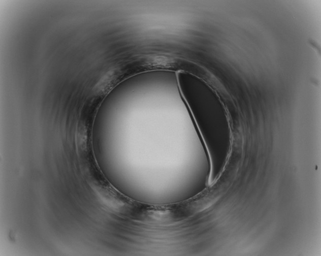 X0000096720552200802051102