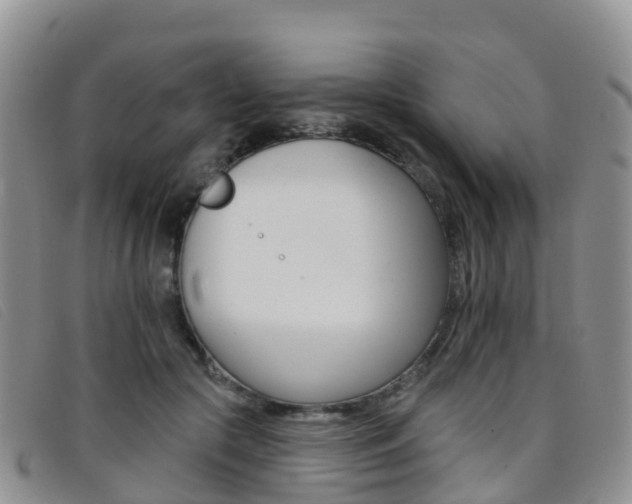 X0000096720553200802051102
