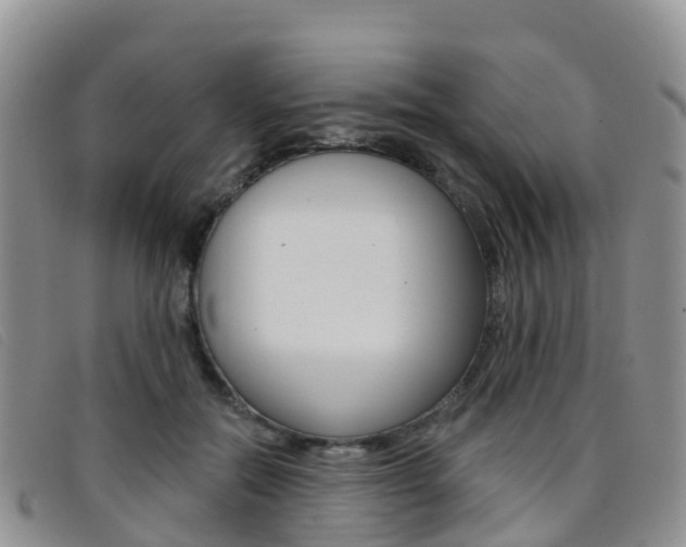 X0000096720554200802051102