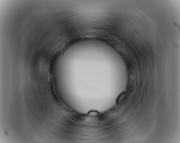 X0000096720555200802051102
