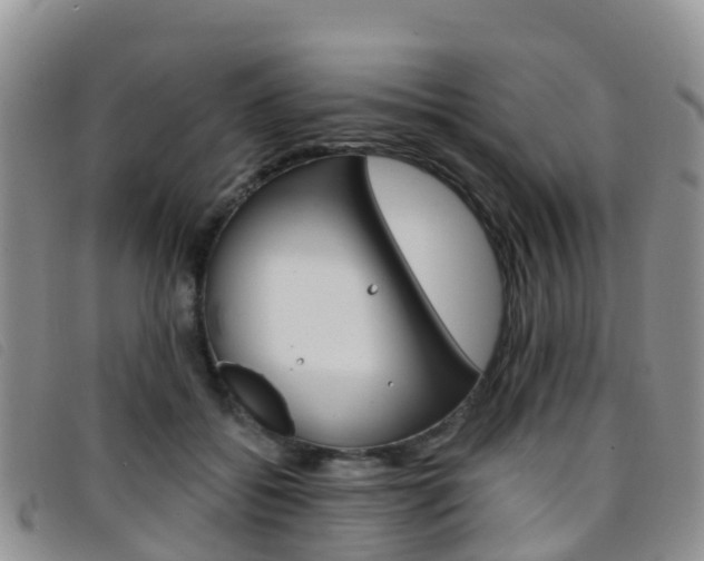 X0000096720556200802051102