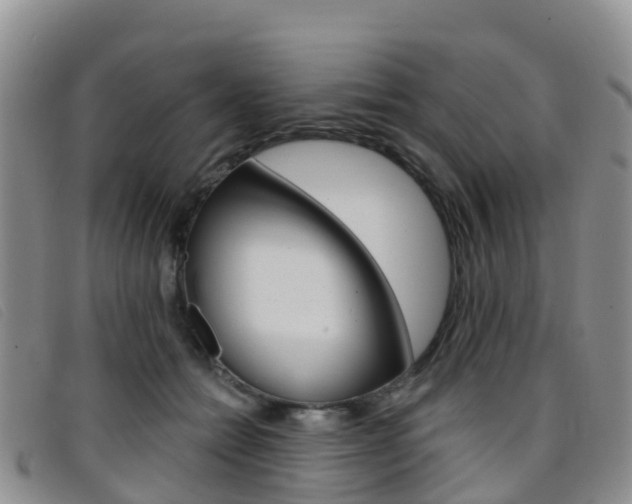 X0000096720558200802051102