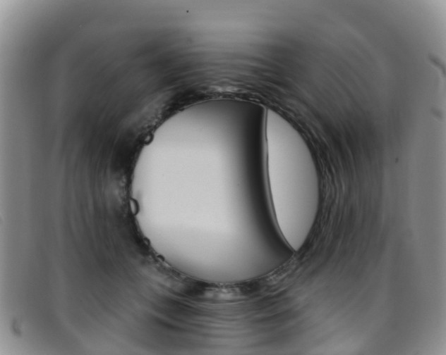 X0000096720559200802051102