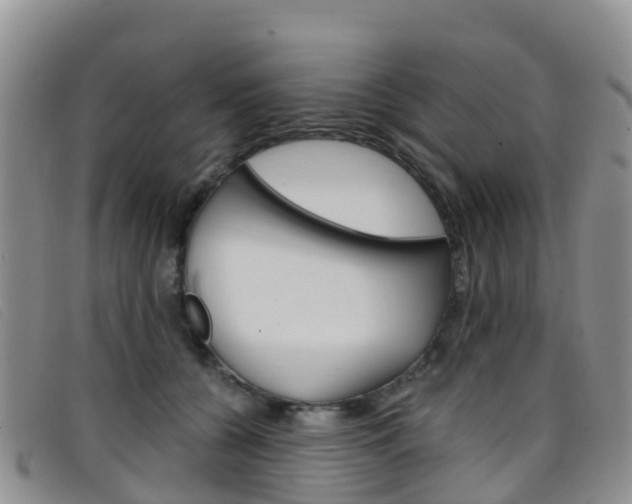 X0000096720560200802051102