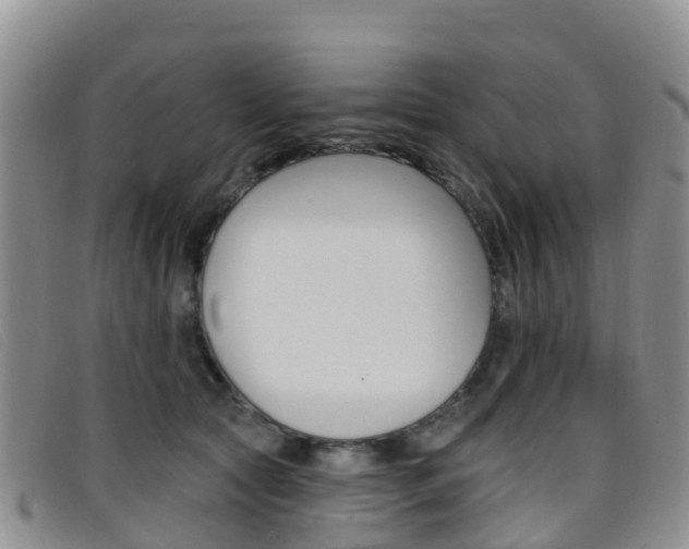 X0000096720561200802051102