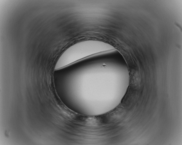 X0000096720562200802051102