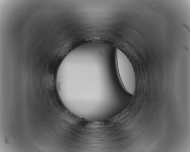 X0000096720563200802051102