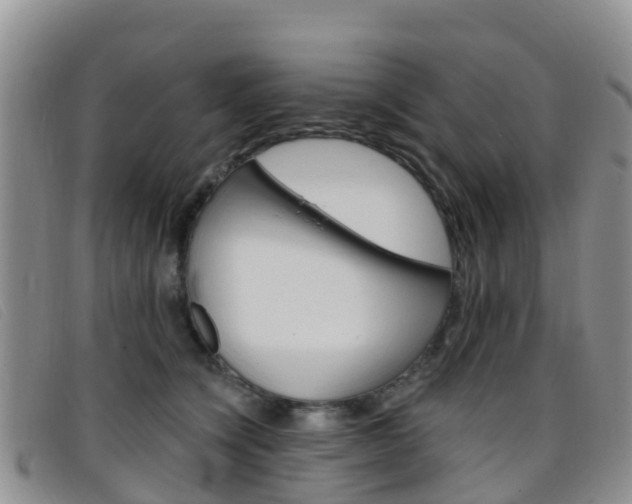 X0000096720564200802051102