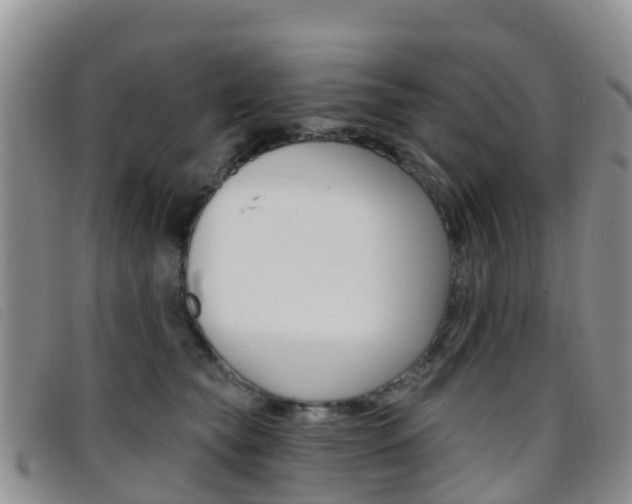 X0000096720565200802051102