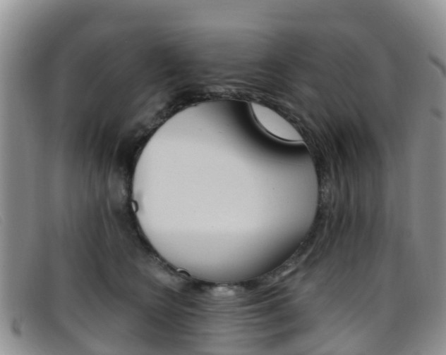 X0000096720566200802051102