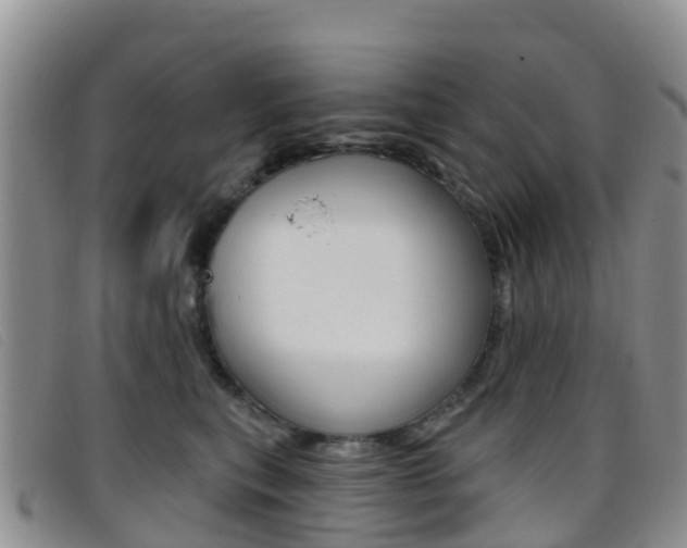 X0000096720567200802051102