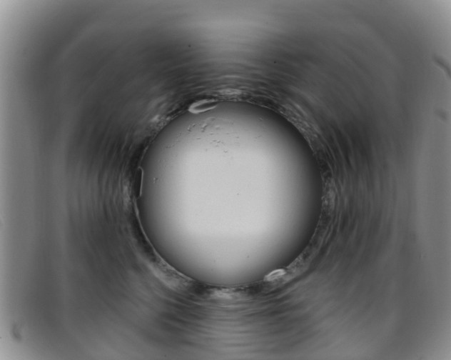 X0000096720568200802051102