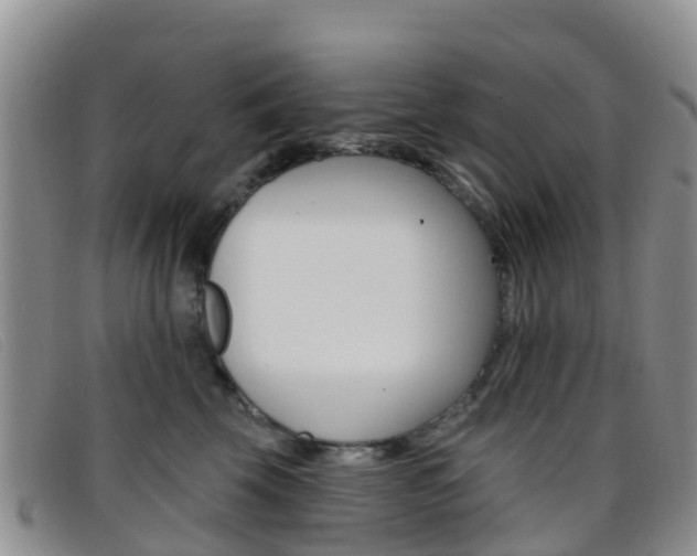 X0000096720569200802051102