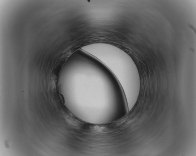 X0000096720570200802051102