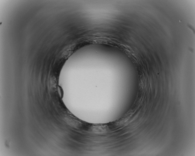 X0000096720571200802051102