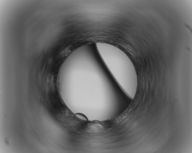 X0000096720572200802051102