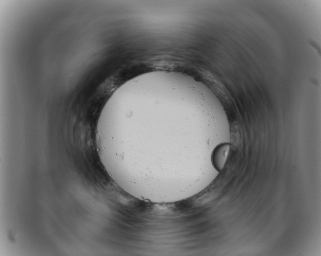 X0000096720573200802051103