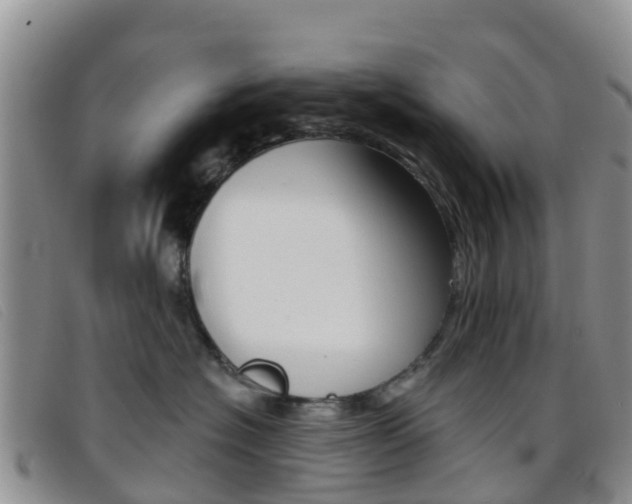 X0000096720574200802051103