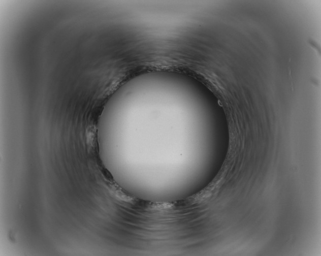 X0000096720576200802051103