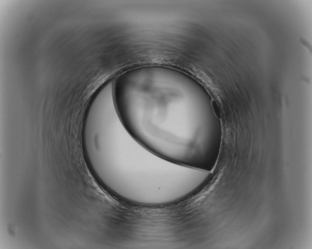 X0000096720577200802051102