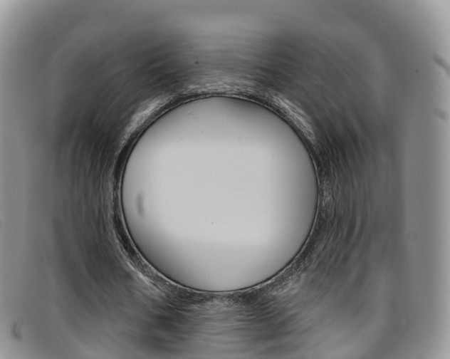 X0000096720578200802051102
