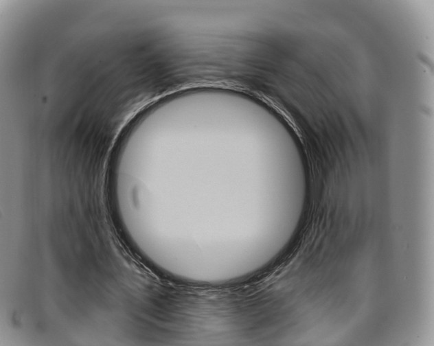 X0000096720579200802051102