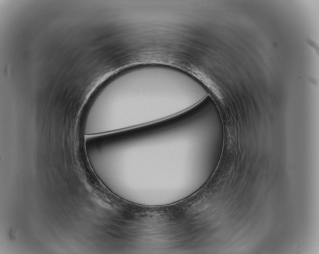 X0000096720580200802051102