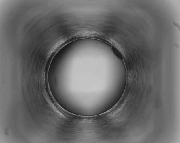 X0000096720581200802051102