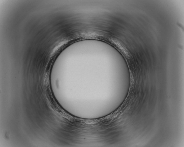 X0000096720583200802051102