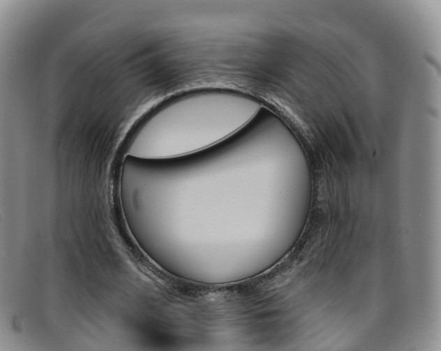 X0000096720584200802051102
