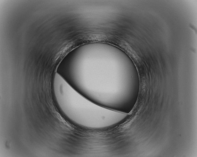 X0000096720585200802051102