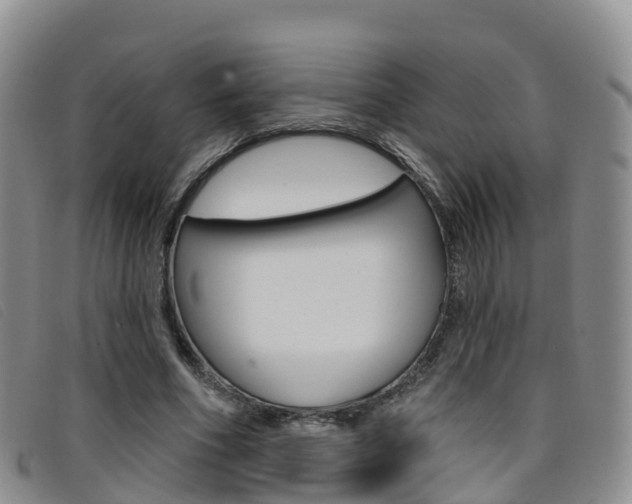X0000096720586200802051102
