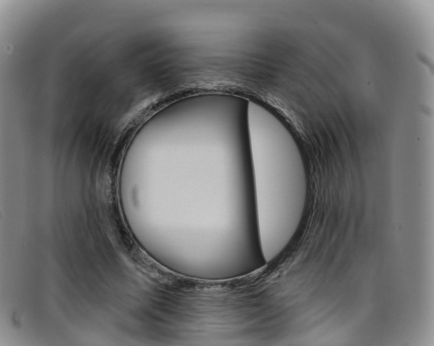 X0000096720587200802051102