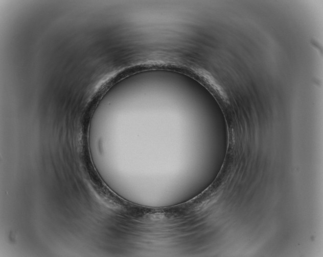 X0000096720588200802051102