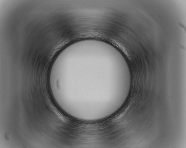 X0000096720589200802051102