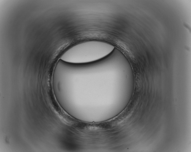 X0000096720590200802051102