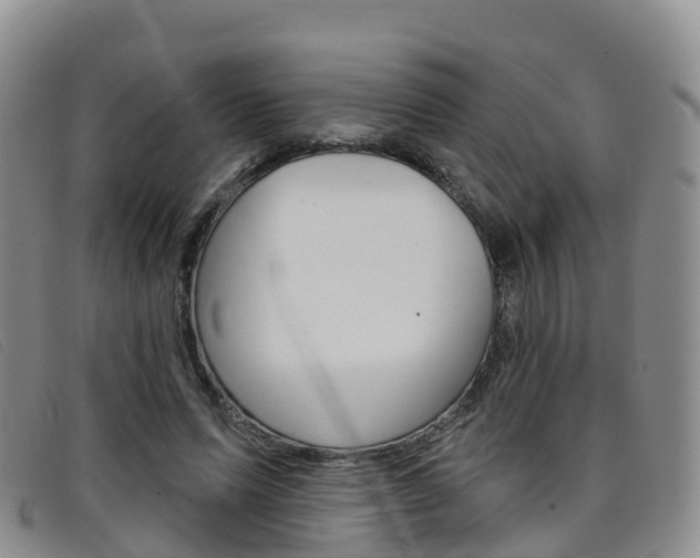 X0000096720591200802051102