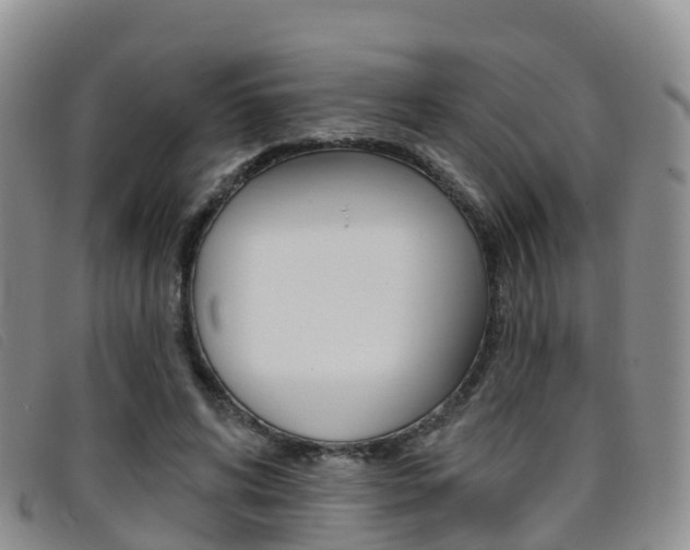 X0000096720592200802051102